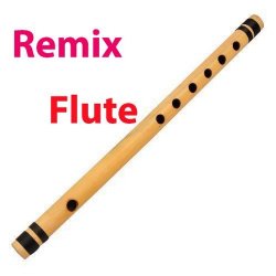 Flute Remix